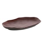1483177601---TRAV-OVAL-RASA-M-BIO-VOLCANO-30x20-CM_2