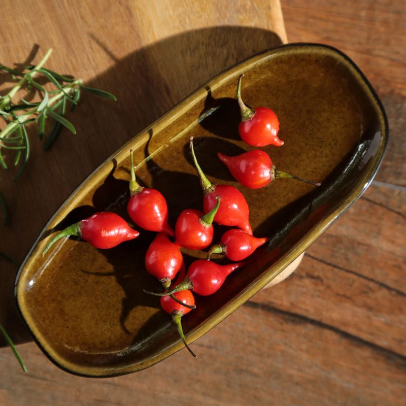 1521477101---TRAVESSA-OVAL-RASA-MINI-ORGANICO-AMBAR-165x8-CM_5