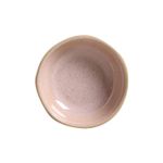 14614109201---RAMEQUIM-MEDIO-ORGANICO-LITCHI-9x3-CM