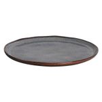 1231109402---PRATO-RASO-BIO-TITANIUM-Ø-29-CM_ang