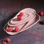 14214109201---TRAVESSA-OVAL-RASA-GRANDE-ORGANICO-LITCHI-36x13-CM_amb2