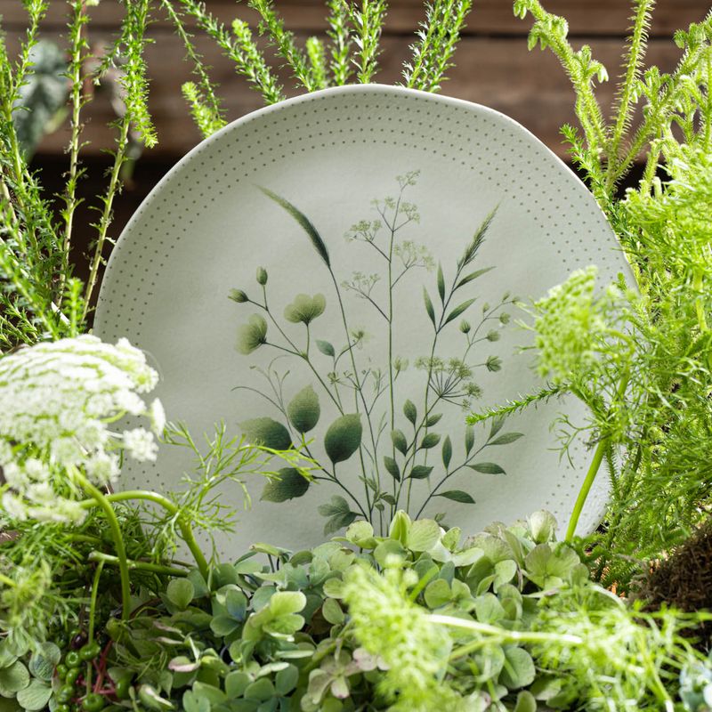 1214129801-P-RASO-ORGANICO-AMMI1.jpg