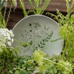 1314129801-PRATO-FUNDO-ORGANICO-AMMI1.jpg