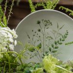 1314129801-PRATO-FUNDO-ORGANICO-AMMI4.jpg