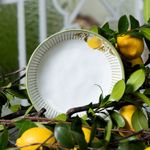 1331129901-P-FUNDO-BIO-LEMON1.jpg
