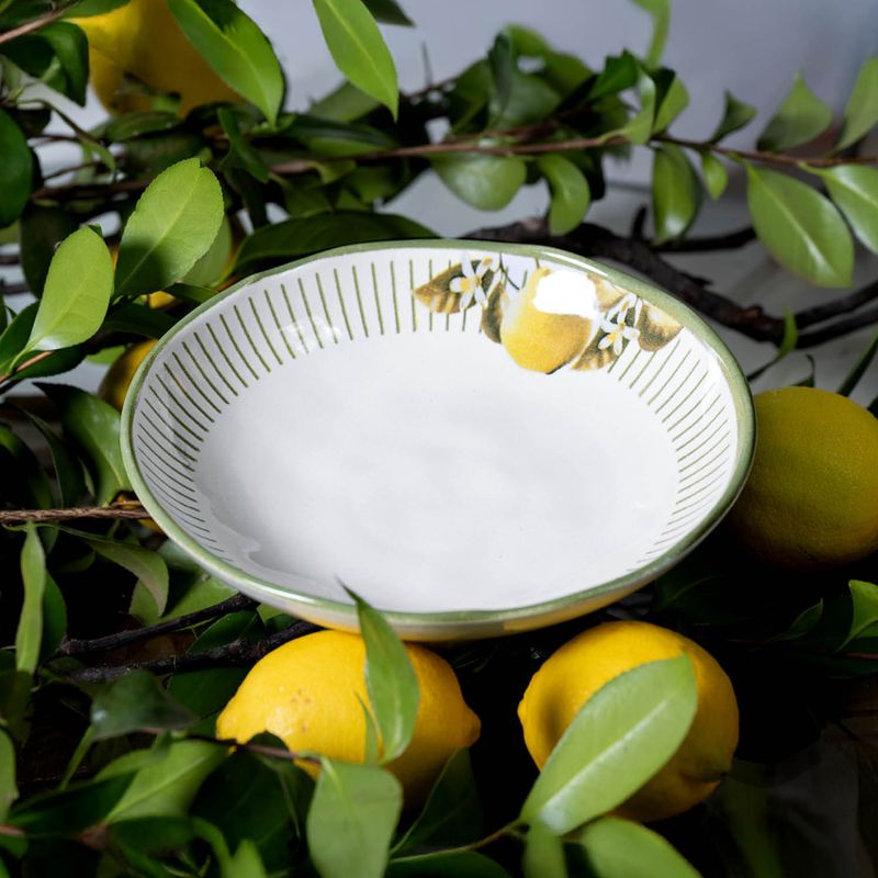 1331129901-P-FUNDO-BIO-LEMON2.jpg