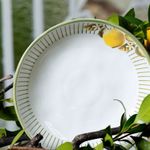 1331129901-P-FUNDO-BIO-LEMON3.jpg