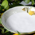 1331129901-P-FUNDO-BIO-LEMON4.jpg