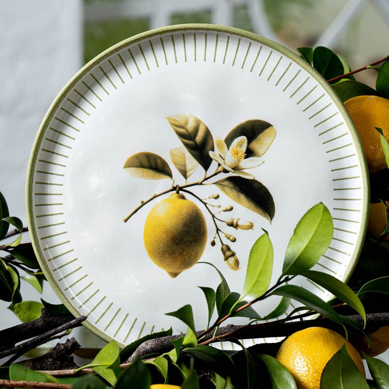 1231129901-P-RASO-BIO-LEMON1.jpg