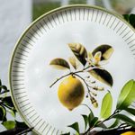 1231129901-P-RASO-BIO-LEMON3.jpg