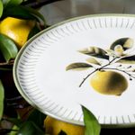 1231129901-P-RASO-BIO-LEMON4.jpg