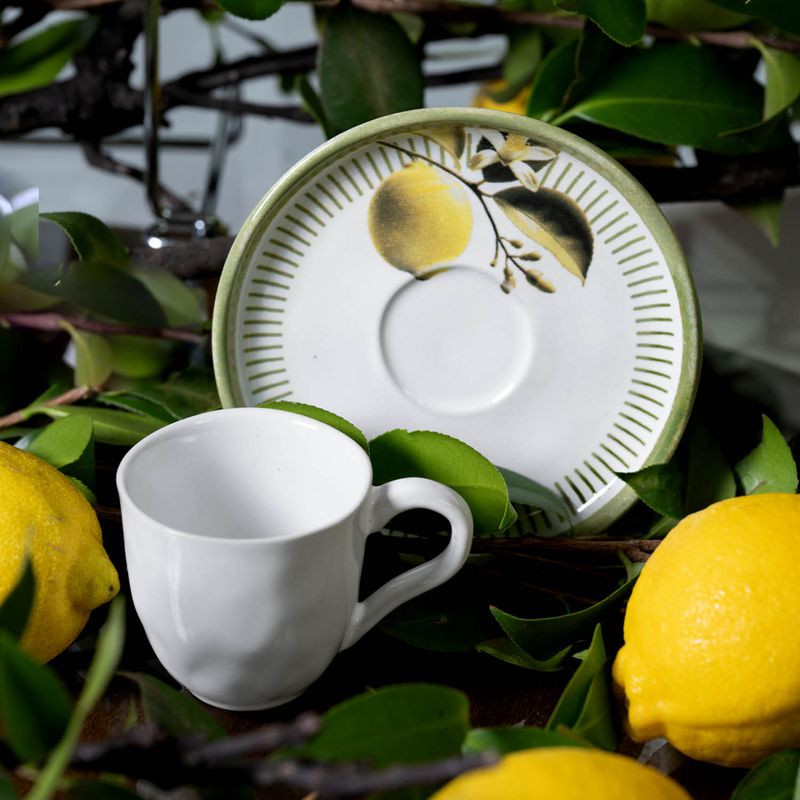 3631129901-XIC-CHA-BIO-LEMON1.jpg