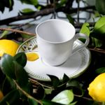 3631129901-XIC-CHA-BIO-LEMON2.jpg