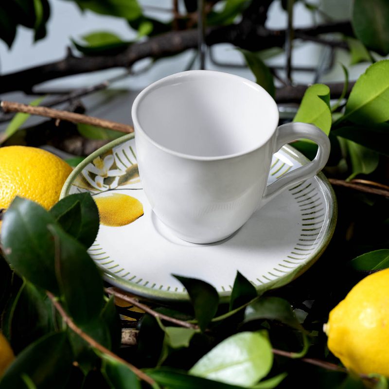 3631129901-XIC-CHA-BIO-LEMON2.jpg