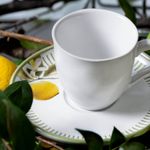 3631129901-XIC-CHA-BIO-LEMON4.jpg